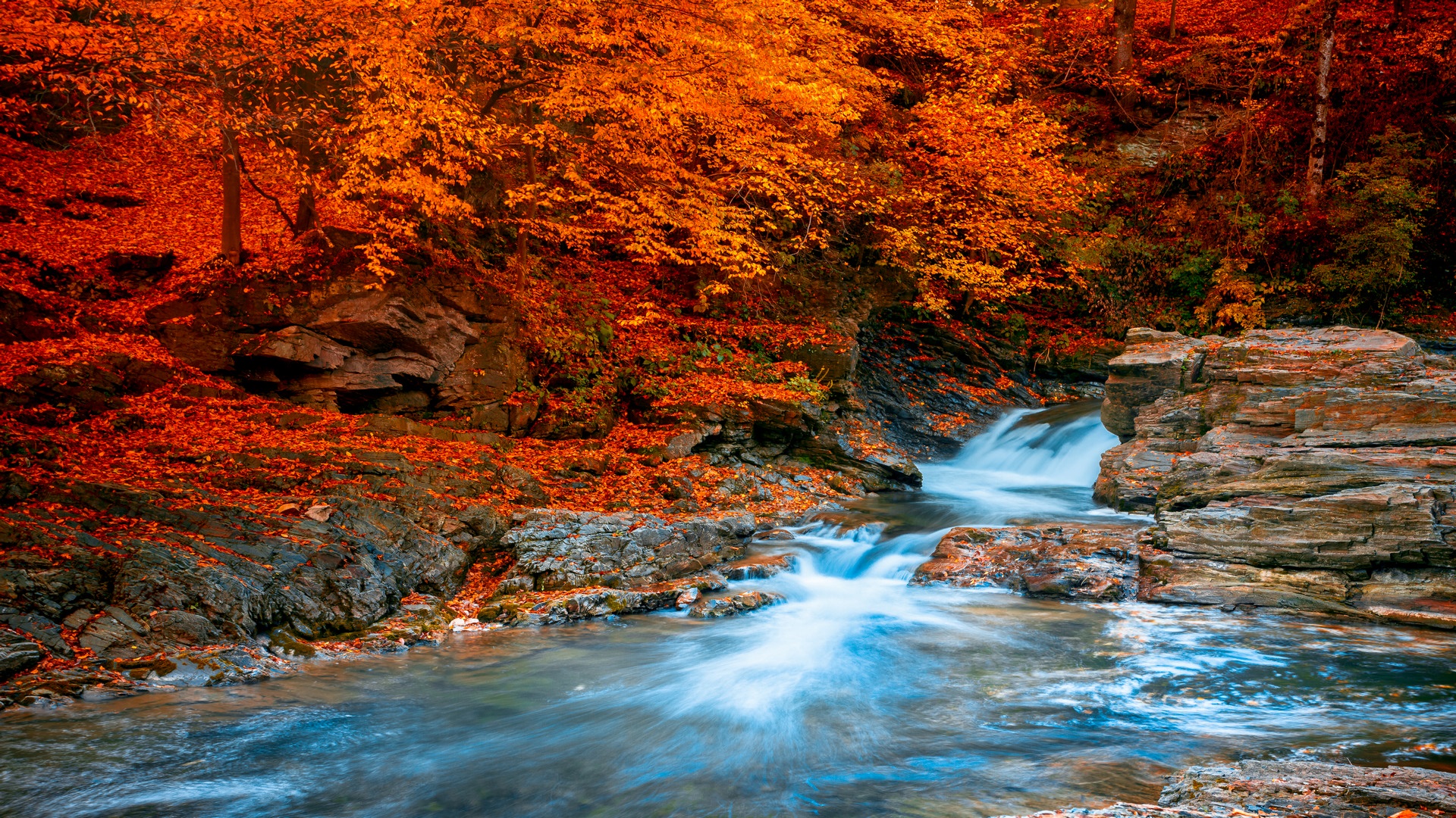 Sonbahar Duvarkağıdı Modelleri